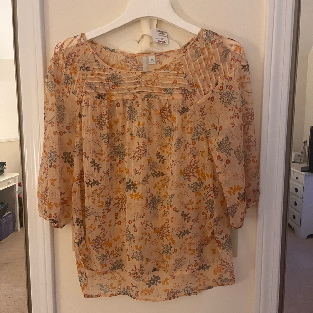 Sheer spring blouse